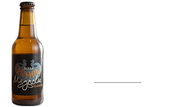 Magnoliaマグノリア